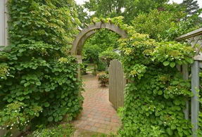 Gate to Back Yard - Country homes for sale and luxury real estate including horse farms and property in the Caledon and King City areas near Toronto